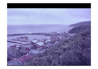 写真2.jpg