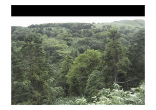 写真4.jpg