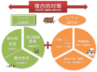 画像2_nagata.png