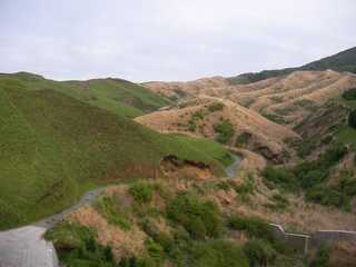 image-t1.jpg