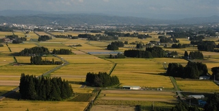 n2.jpg