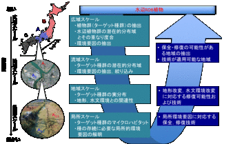 oohashi2.gif